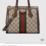 GUCCCI  gg ophidia small totebag without  123