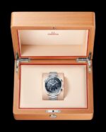 OMEGG_A Seamaster Planet Ocean 600M Co-Axial Chronograph plan silver Blue . - Image 4