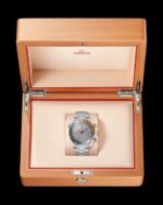 OMEGG_A Seamaster Planet Ocean 600M Co-Axial Chronograph plan silver gray. - Image 2