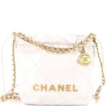 Chane pre owned 22 Chain Hobo Quilted Calfskin Mini crossbody bag with box 6619